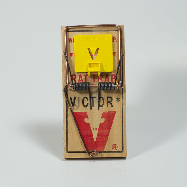 Victor - Wood Rat Snap Trap – Steve Regan Company